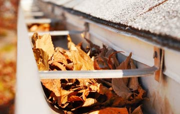Enfield gutter cleaning companies