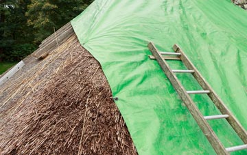 maintaining Enfield thatch