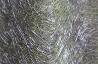 Enfield fibreglass roof work